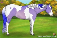 Horse Color:Watercolor Bay Dun Splash Tobiano 