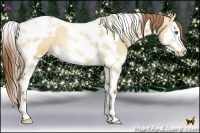 Horse Color:Bay Pearl Dun Splash Tobiano