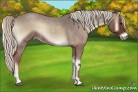 Horse Color:Silver Blue Onyx Roan 
