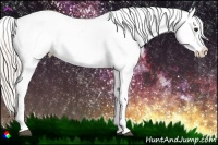 Horse Color:Silver Bay Dun Near Leopard 