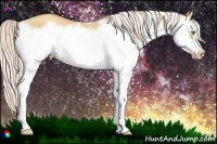 Horse Color:Silver Classic Champagne Dun Splash Frame