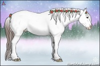 Horse Color:Brown Appaloosa 