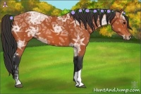 Horse Color:Bay Ice 