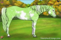 Horse Color:Watercolor Chestnut Sabino Frame