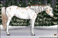 Horse Color:White Spotted Bay Pearl Frame Appaloosa 