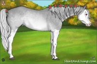 Horse Color:Silver Brown Chinchilla Dun Splash 