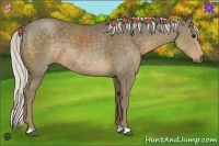 Horse Color:Silver Smoky Black 