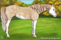 Horse Color:Red Dun Ice Splash 