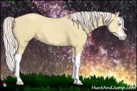 Horse Color:Silver Classic Champagne Dun Splash 