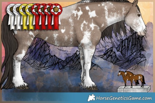 Horse Color:White Spotted Liver Red Dun 