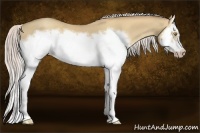 Horse Color:Silver Classic Champagne Dun Splash Frame