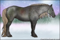 Horse Color:Liver Chestnut Rabicano 