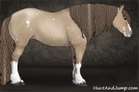 Horse Color:White Spotted Grullo Pearl Splash