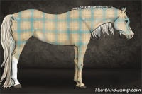 Horse Color:Plaid Palomino