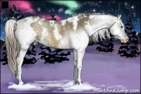 Horse Color:White Spotted Liver Red Dun Splash 