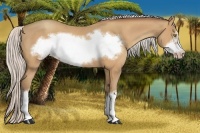 Horse Color:Silver Amber Champagne Frame 