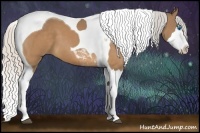 Horse Color:Silver Buckskin Splash Tobiano 