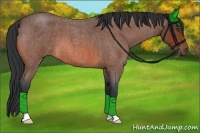 Horse Color:Bay Roan 
