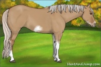 Horse Color:Silver Bay Dun Sabino Tobiano Frame Rabicano