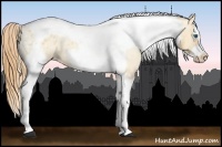 Horse Color:Gold Champagne Roan Dun Splash Tobiano Frame Appaloosa Rabicano