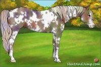 Horse Color:Nacre White Spotted Silver Black Sabino