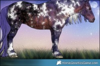Horse Color:Watercolor White Spotted Brown Ice