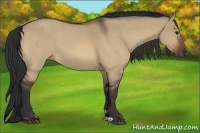 Horse Color:Bay Roan Dun 