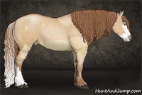 Horse Color:Bay Pearl Dun Sabino Splash and Bay Pearl Dun Sabino Splash