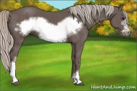 Horse Color:Silver Black Frame 