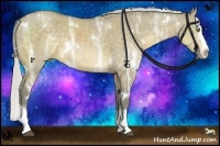 Horse Color:White Spotted Silver Buckskin Ice Dun Sabino Splash