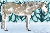 Horse Color:White Spotted Silver Grullo Ice Splash
