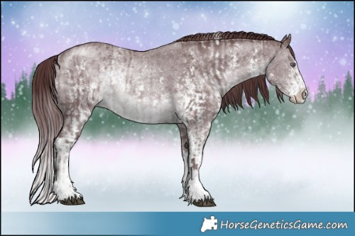 Horse Color:Chocolate Brown Chinchilla Sabino Rabicano  and Chocolate Brown Chinchilla Sabino Rabicano 