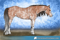 Horse Color:Bay Sabino Rabicano  and Bay Sabino Rabicano 