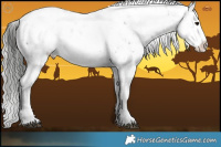 Horse Color:Brown Sabino  and Silver Brown Sabino 