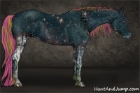 Horse Color:ERROR: UNKNOWN ANOMALY and ERROR: UNKNOWN ANOMALY