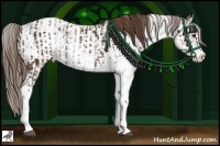 Horse Color:Liver Chestnut Sabino Rabicano  and Liver Chestnut Sabino Rabicano 