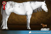 Horse Color:White Spotted Liver Chestnut Rabicano  Brindle