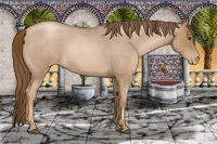 Horse Color:Liver Red Roan Pearl 