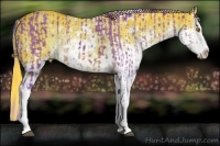 Horse Color:Watercolor Liver Chestnut Sabino Rabicano and Watercolor Liver Chestnut Sabino Rabicano