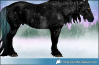 Horse Color:ERROR: UNKNOWN ANOMALY and ERROR: UNKNOWN ANOMALY