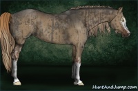 Horse Color:White Spotted Liver Red Dun Rabicano and White Spotted Liver Red Dun Rabicano