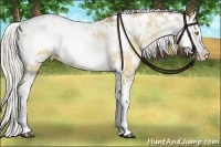 Horse Color:Chocolate Silver Bay Pearl Dun Sabino