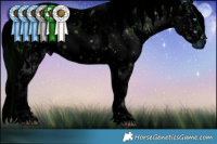 Horse Color:ERROR: UNKNOWN ANOMALY and ERROR: UNKNOWN ANOMALY