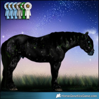 Horse Color:ERROR: UNKNOWN ANOMALY and ERROR: UNKNOWN ANOMALY