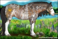 Horse Color:White Spotted Buckskin Sabino Rabicano and White Spotted Liver Chestnut Sabino Rabicano