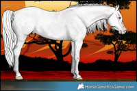 Horse Color:White Spotted Chocolate Silver Black Chinchilla Pearl and White Spotted Chocolate Silver Black Chinchilla Pearl