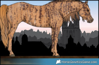 Horse Color:Chocolate Brown Sabino Rabicano  Brindle