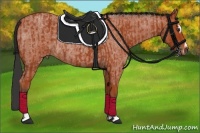 Horse Color:Bay Roan Sabino Rabicano  and Bay Roan Sabino Rabicano 