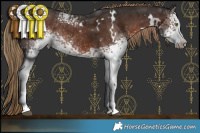 Horse Color:White Spotted Liver Chestnut Rabicano  Brindle