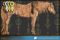 Horse Color:White Spotted Liver Chestnut Rabicano Brindle